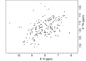 1H-15N HSQC spectrum of 15N-labelled J2-crystallin. Sample was supplemented with 10 % D2O and 2 mM TMSP to give a final concentration of 1.8 mM. Spectra was acquired at 25 °C using a Bruker AVANCE600 spectrophotometer.
