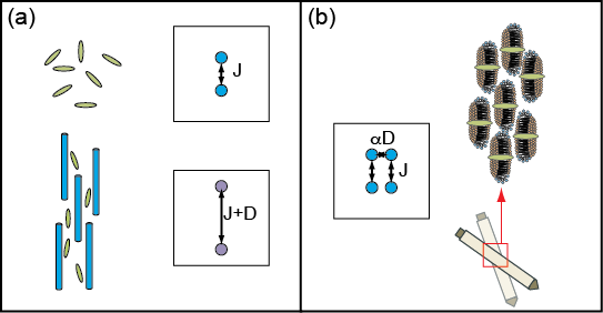 a) A solution-state residual dipolar coupling experiment, which requires separate experiments in isotropic solution and in an orienting medium. (b) An SAS experiment, where strong orientation is produced by interaction with a membrane mimetic. The resulting dipolar couplings are scaled by changing the spinning axis without changing the sample composition or the temperature, yielding isotropic-anisotropic correlations.